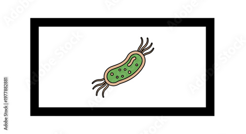 Microscopic View of a Single Green Bacterium with Flagella, Scientific Illustration
