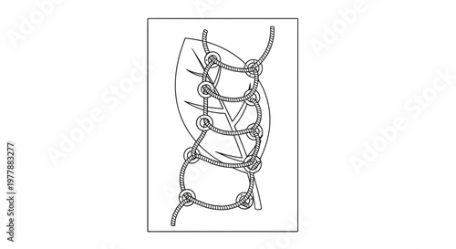 Close-up of a leaf with a vine wrapped around it in a decorative pattern