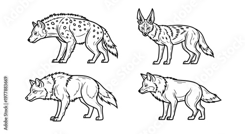 Four Different Wolf Species Profiles.