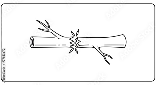 Broken Branch Icon Vector Illustration - Symbol of Damage, Breakage, and Fragility