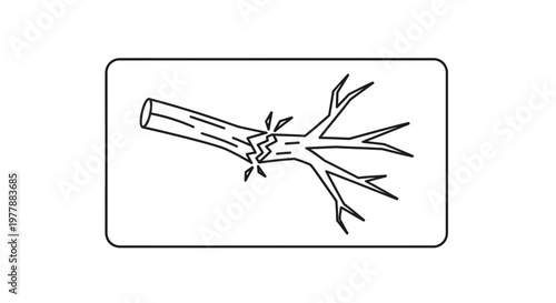 Broken Tree Branch Icon