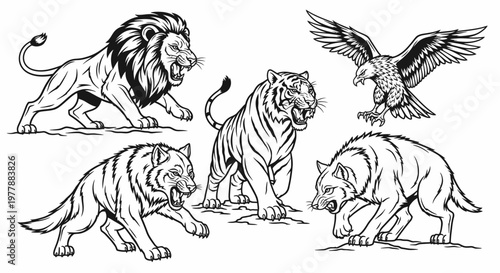 Lion tiger wolf animal pack fierce.