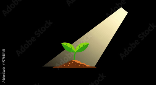 Young plant sprouting from soil bathed in warm light, symbolizing growth and new beginnings.