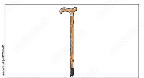 Wooden walking cane with ergonomic handle and rubber tip, isolated on white background