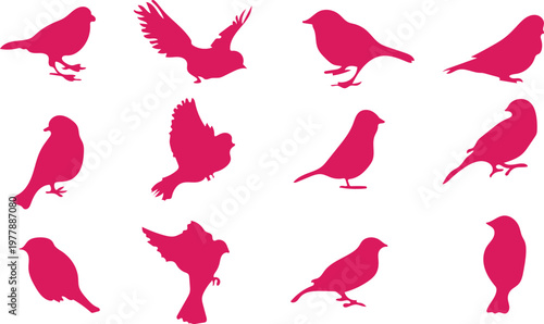 Large set of Pink Sitting Bird silhouettes in various poses, Vector wild bird shapes isolated on white background, Cute colorful avian collection for nursery and creative design.