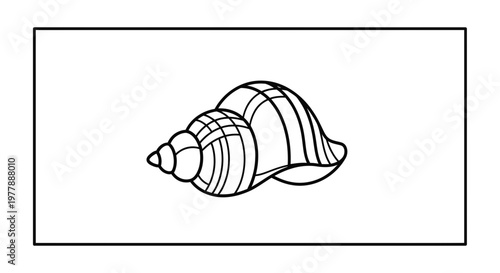 Seashell illustration, spiral conch, ocean life, marine mollusk, nature, beach find, graphic element