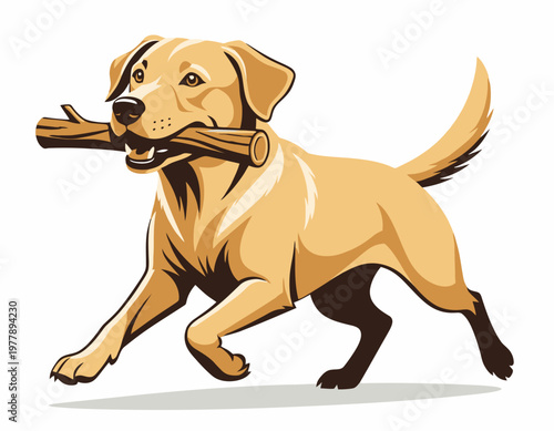 A detailed vector illustration of a Labrador retriever dog running with a stick in its mouth