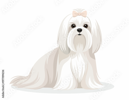 A detailed vector illustration of a charming Maltese dog sitting with a lovely bow 