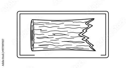 Roughly Hewn Tree Trunk Section with Jagged Edge, Wood Grain Texture