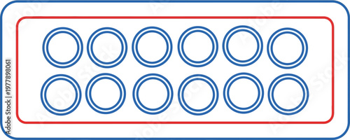 A diagrammatic representation of a 12-well microplate, featuring two rows of six circular wells each, outlined by a red border and an internal blue border