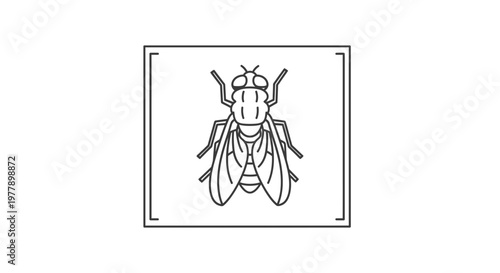 Minimalist Fly Icon, Insect Line Art, Simple Vector Graphic, Black and White