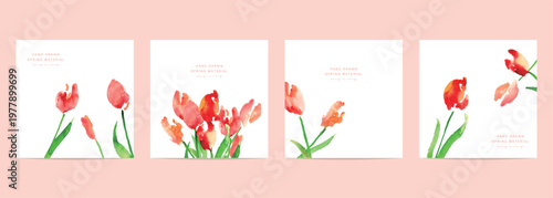 水彩画。水彩タッチのチューリップの春ハガキデザイン。春のチューリップベクターイラスト。
Watercolor painting. Spring postcards featuring watercolor-style tulips. Each postcard features a different design illustration of spring tulips.