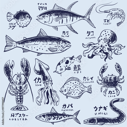 Hand Drawn Set of Imperfect Style Doodle of Japanese Seafood