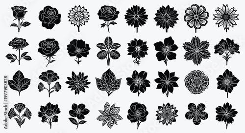 Fotografía Black Flowers Isolated on White Background