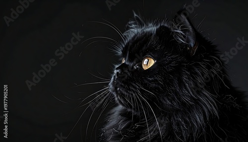 A side profile of a luxurious black cat, fluffy fur, piercing yellow eyes, against a dark background, whiskers, detailed