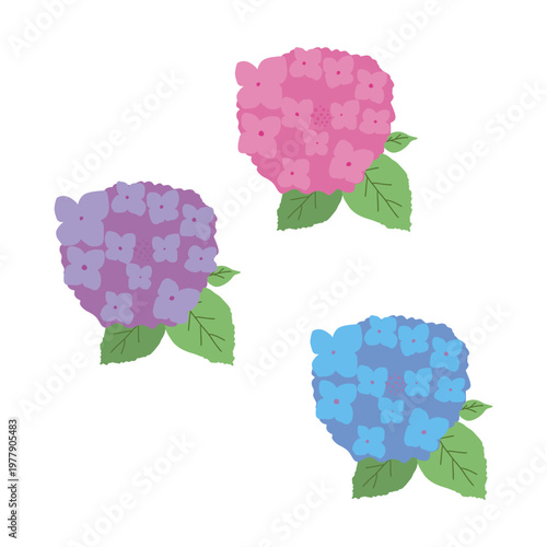 紫陽花の花のイラストセット　梅雨の時期の背景素材　フラットデザイン