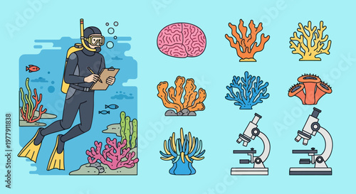 Marine Biologist Scuba Diving, Studying Coral Reefs and Brain Coral, Microscope Illustration
