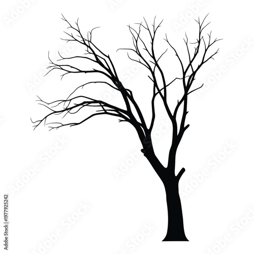 Принти на полотні A bare silhouette of a deciduous tree with intricate branches reaching outwards