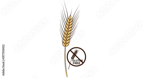 Wheat ear with gluten-free symbol, isolated on white background, healthy food concept