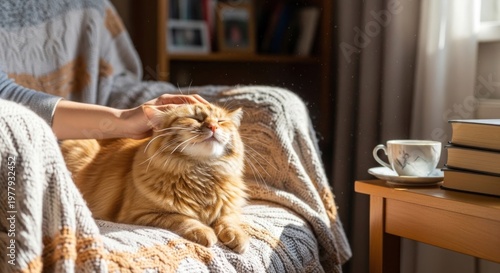 A cozy scene of a person gently petting an orange cat on a blanket, with a cup of coffee and a stack of books nearby, creating a warm and inviting atmosphere.