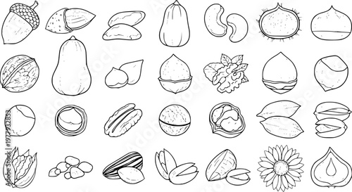 Outline Hand-Drawn Set: Healthy Nuts, Seeds, and Plant Produce Collection. Diverse Botanical Illustrations for Natural Food, Organic Snacks, and Ingredients.