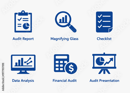 A set of Auditing icons focuses on simplicity, elegance, and ease of recognition. Vector Sign for Logos, Labels, and Icons.