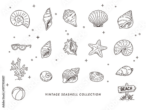Vintage Seashell line Collection
