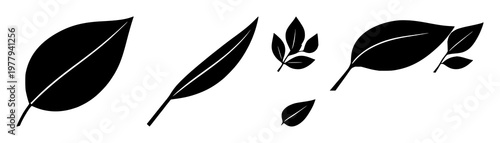 Leaf set with solid black icon on white background featuring corporate social responsibility icon, environmental, sustainability with green design and zero waste