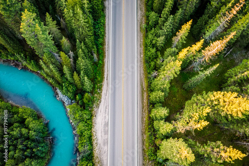 drone shot wood, road and turquoise river