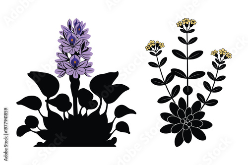 Purple water hyacinth and yellow flower silhouette vector with silhouette