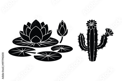Water lily and cactus silhouette vector illustration with silhouette, botanical