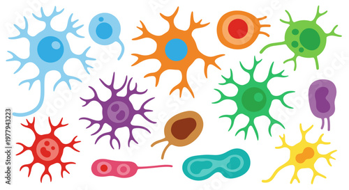 Collection of diverse colorful stylized cells and microorganisms with various shapes and branches against a clean white