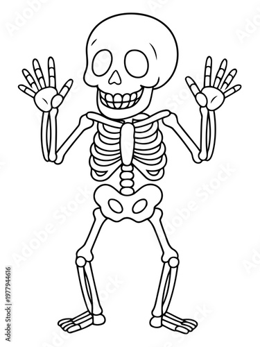 Friendly Skeleton Illustration: A cheerful skeleton figure, drawn in a friendly style, stands with open arms. Its bony structure and toothy grin conveys a sense of lightheartedness.