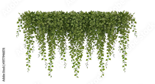 Green Vines with Cascading Leaves