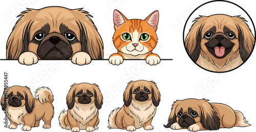Photos Cute dog and cat vector illustration set featuring pekingese puppy poses and gin