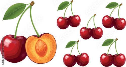 Cherry fruit collection with whole and cut cross section, fresh red berries with leaves in realistic vector illustration set