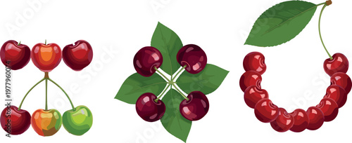 Cherry fruit compositions with clusters and leaf arrangements, fresh sweet berries vector illustration set isolated on white background
