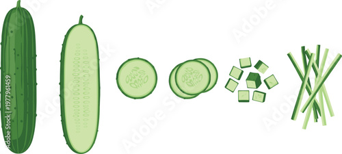 Cucumber vegetable illustration set with whole sliced diced and julienne cuts, fresh green food in detailed vector style