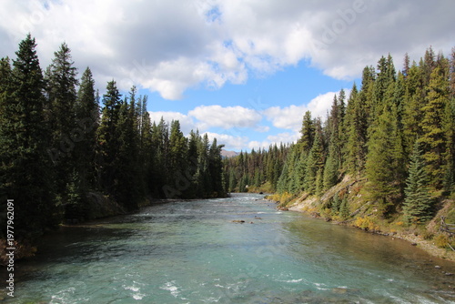 Wallpaper Mural river in the forest, Jasper National Park, Alberta Torontodigital.ca