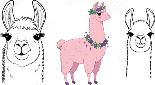 Cute llama alpaca character set with floral decoration cartoon and outline styles vector illustration isolated background