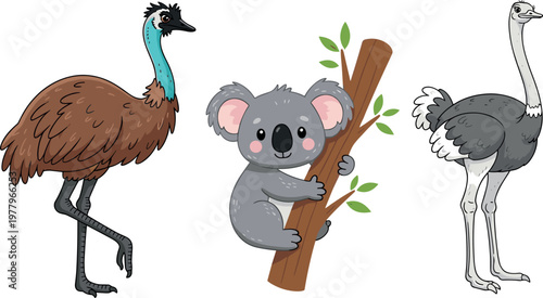 Australian animals set with emu ostrich and koala cartoon and outline styles wildlife vector illustration isolated