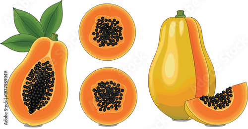 Papaya fruit collection vector illustration featuring whole papaya, sliced papaya halves and pieces with seeds and leaves isolated tropical design set