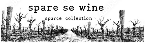 Ink illustration of dormant vineyard rows with aged vines and posts for wine packaging and agricultural branding