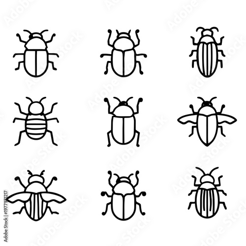 Minimalist hand-drawn set of various insect beetle outlines for entomology and nature education content