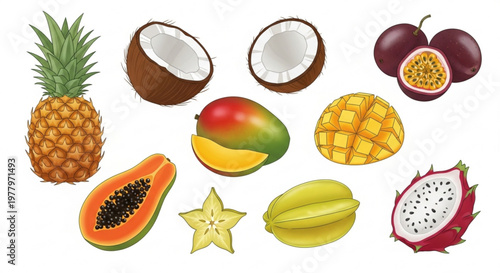 A colorful vector illustration of various tropical fruits including pineapple, coconut, mango, and more.
