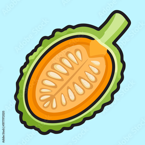 Tropical fruit cross section for exotic food study and healthy organic vitamin rich snack ideas for summer - Vector Illustration
