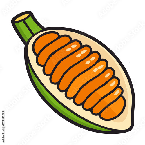 Cocoa pod slice showing beans for chocolate production theme and healthy organic tropical farm harvest food ideas - Vector Illustration