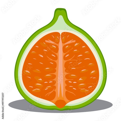 Sliced fig for healthy organic snack and autumn fruit harvest theme for daily dietary fiber and natural wellness - Vector Illustration