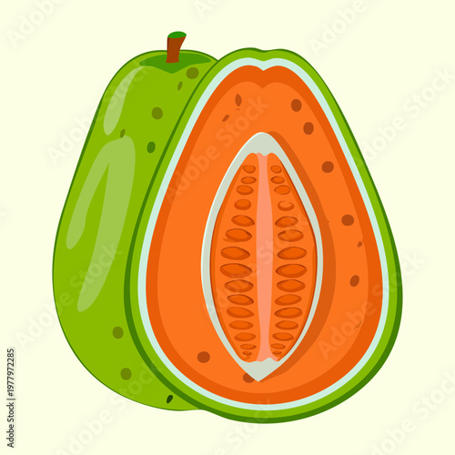 Papaya half for healthy organic tropical breakfast and vitamin rich snack for natural wellness and dietary fiber intake - Vector Illustration