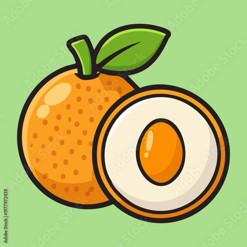 Citrus fruit pair with one cut open showing interior segments and zest for culinary school materials - Vector Illustration